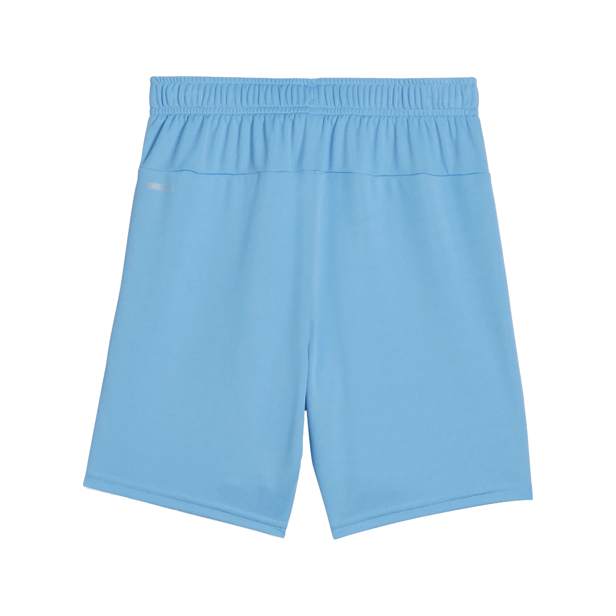 Puma teamGOAL Shorts Barn