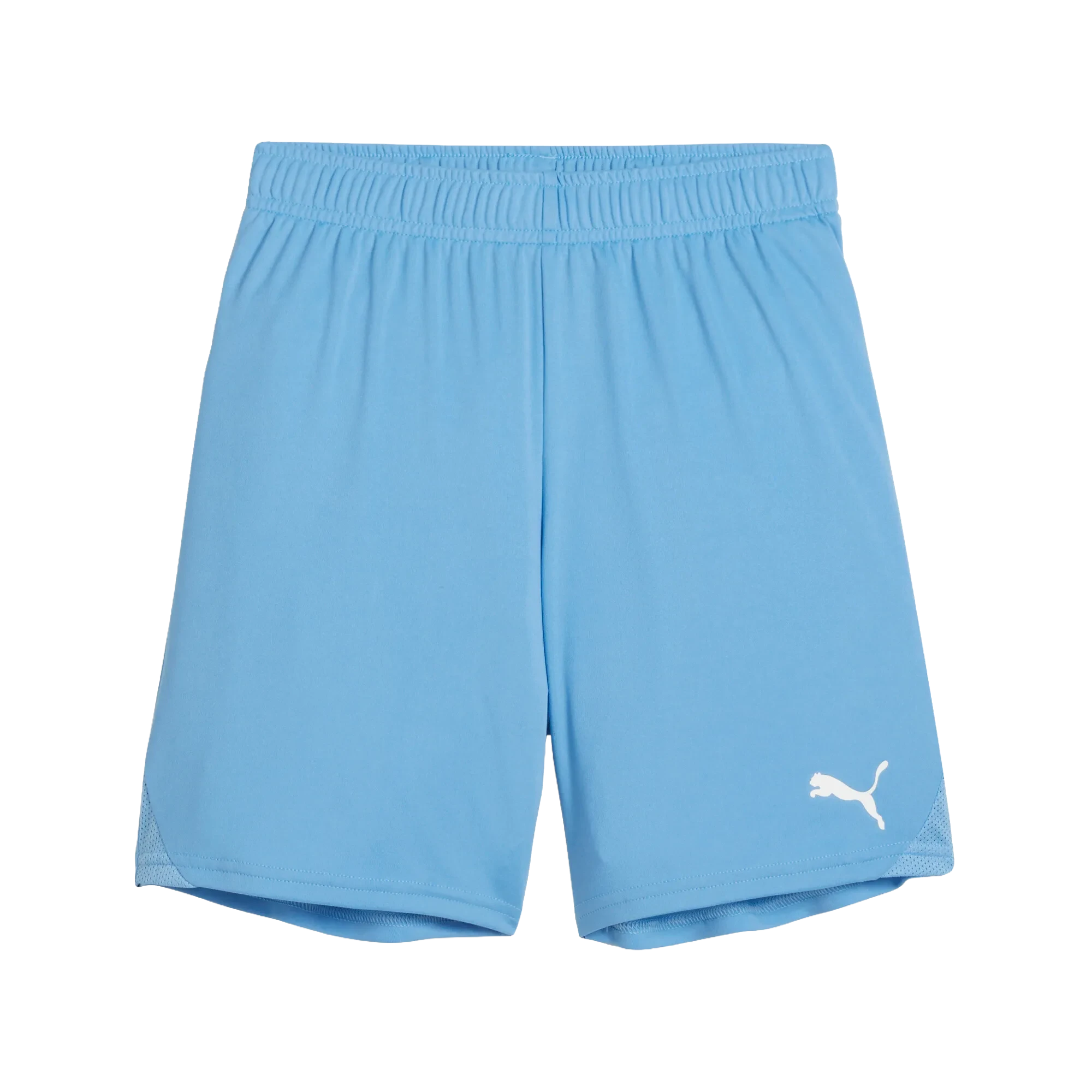 Puma teamGOAL Shorts Barn