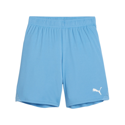Puma teamGOAL Shorts Barn