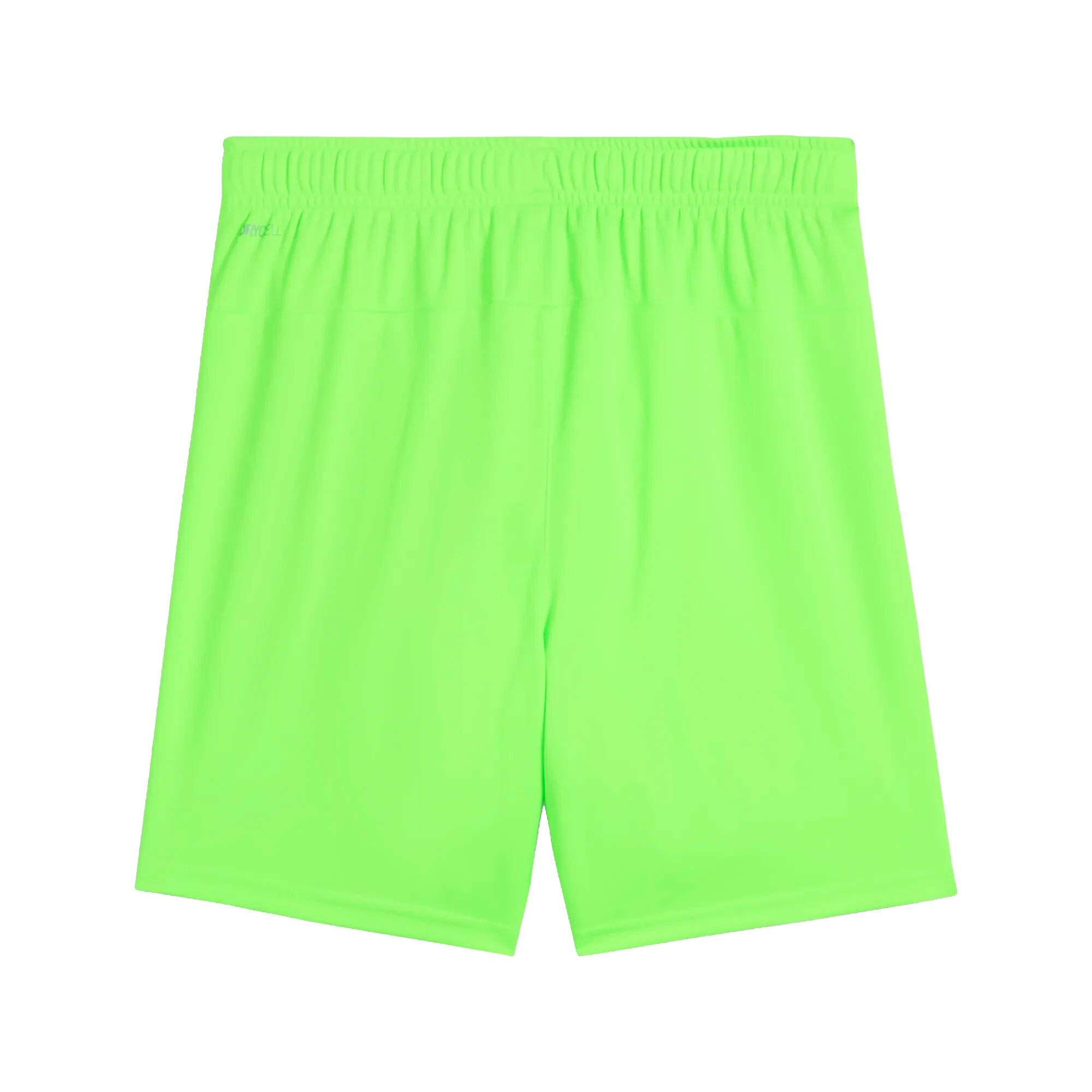 Puma teamGOAL Shorts Barn