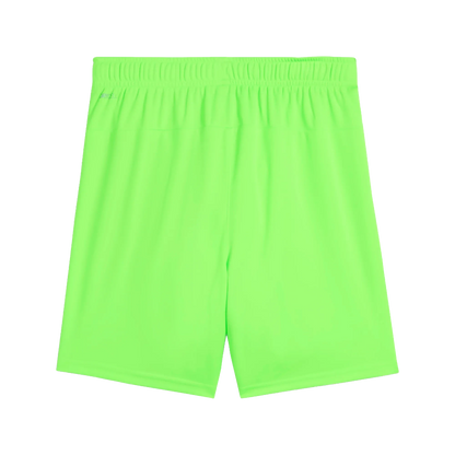 Puma teamGOAL Shorts Barn