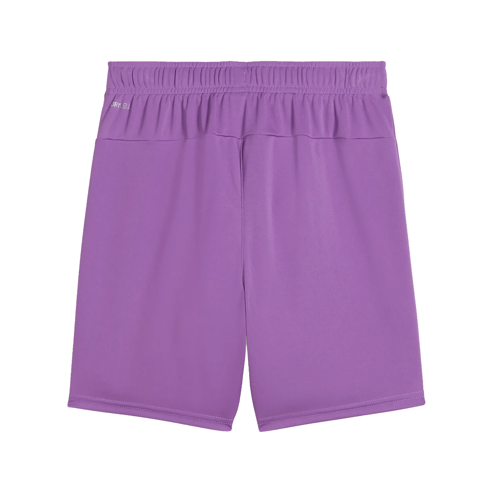 Puma teamGOAL Shorts Barn