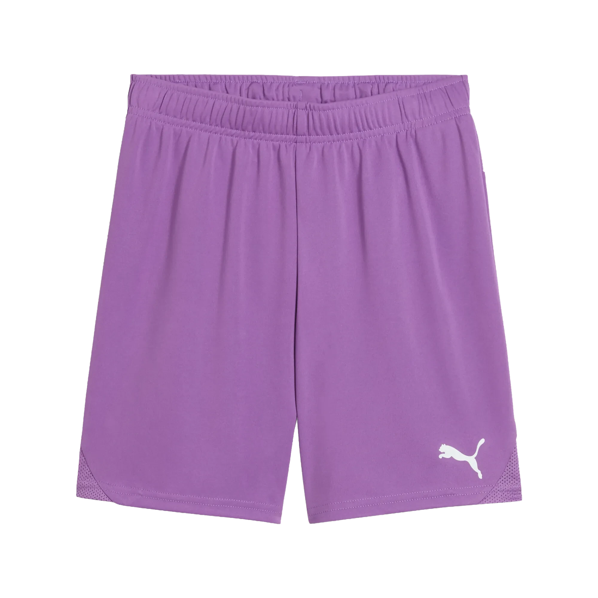 Puma teamGOAL Shorts Barn