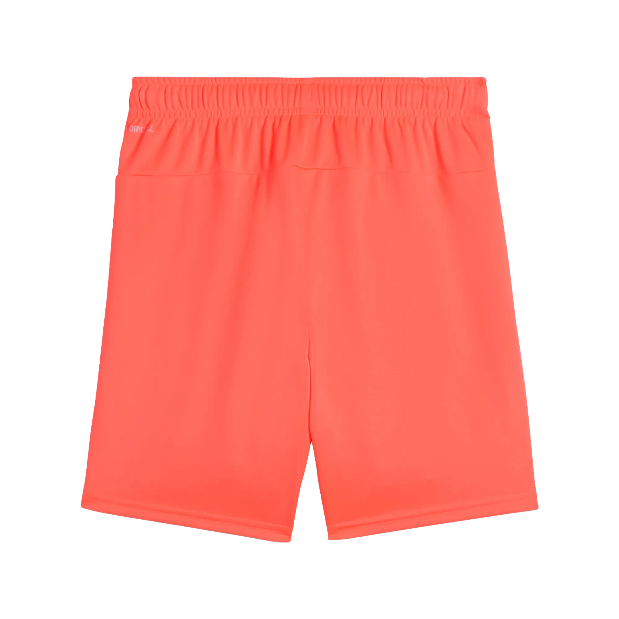 Puma teamGOAL Shorts Barn