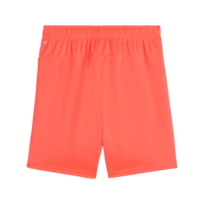 Puma teamGOAL Shorts Barn