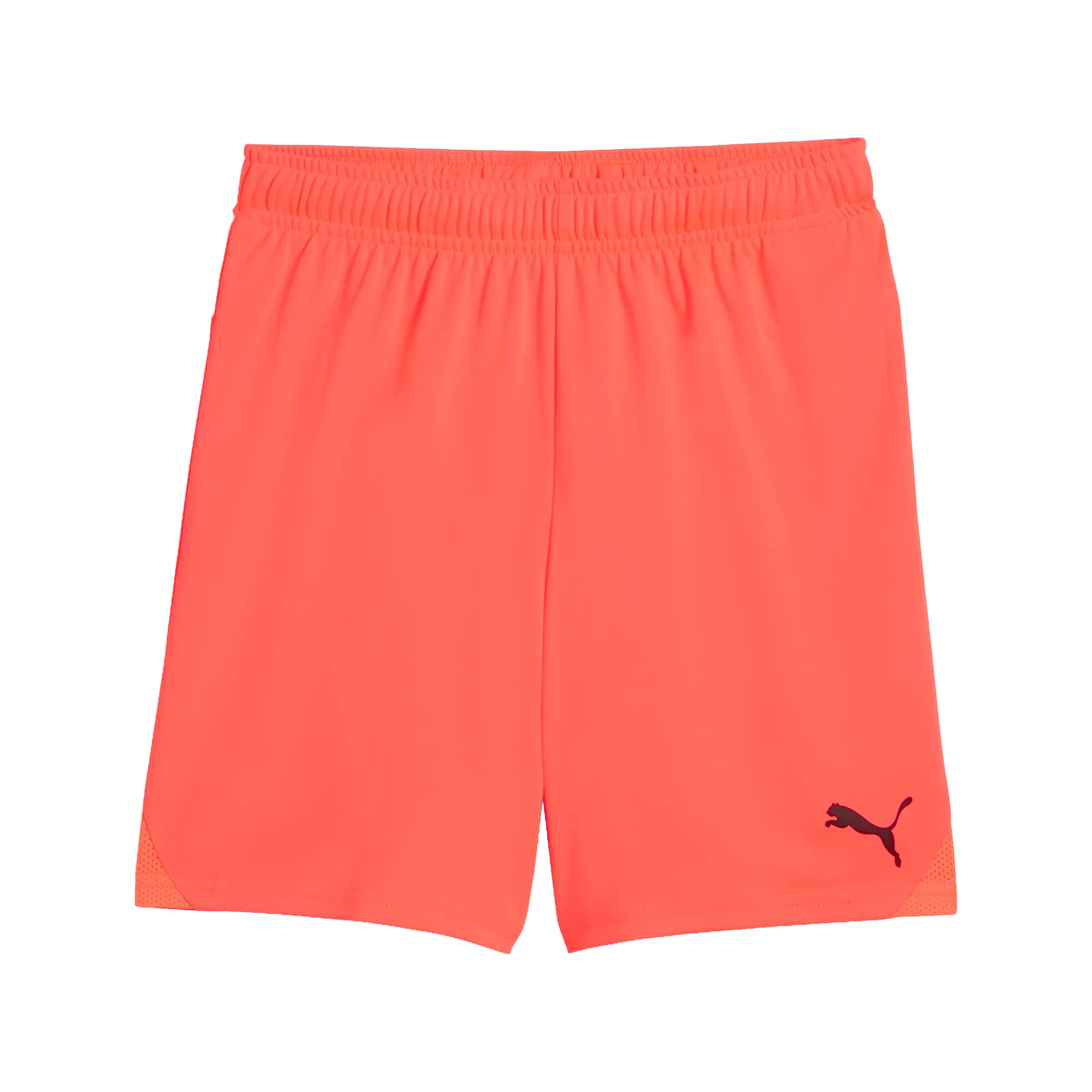 Puma teamGOAL Shorts Barn