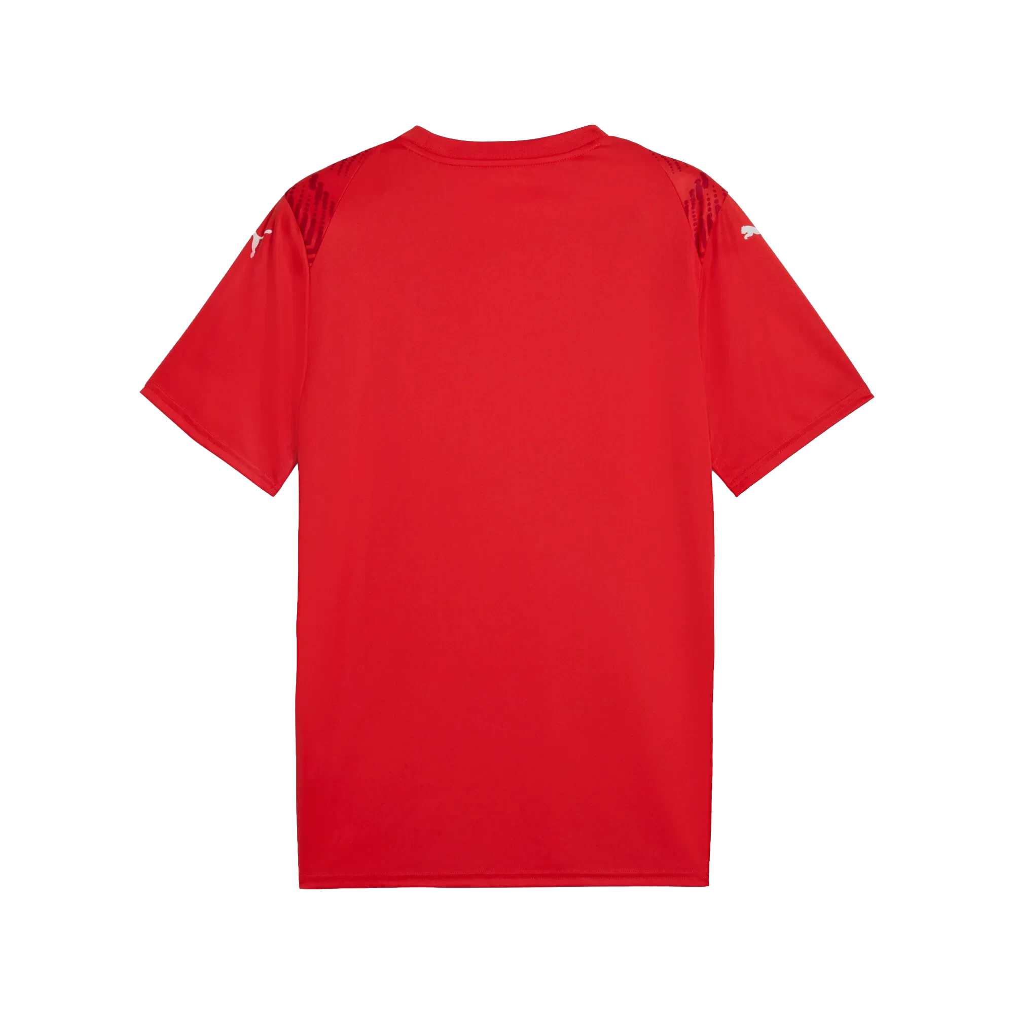 Puma teamULTIMATE Jersey Herr