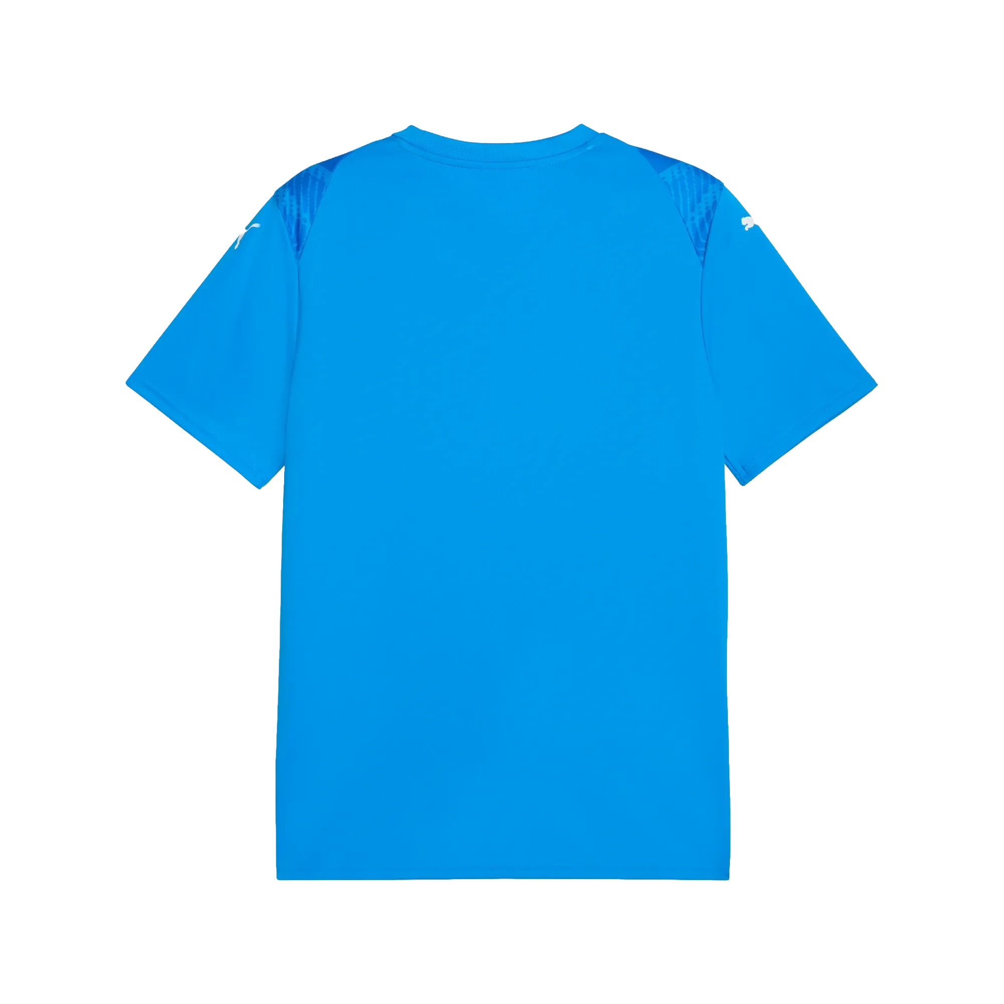 Puma teamULTIMATE Jersey Herr