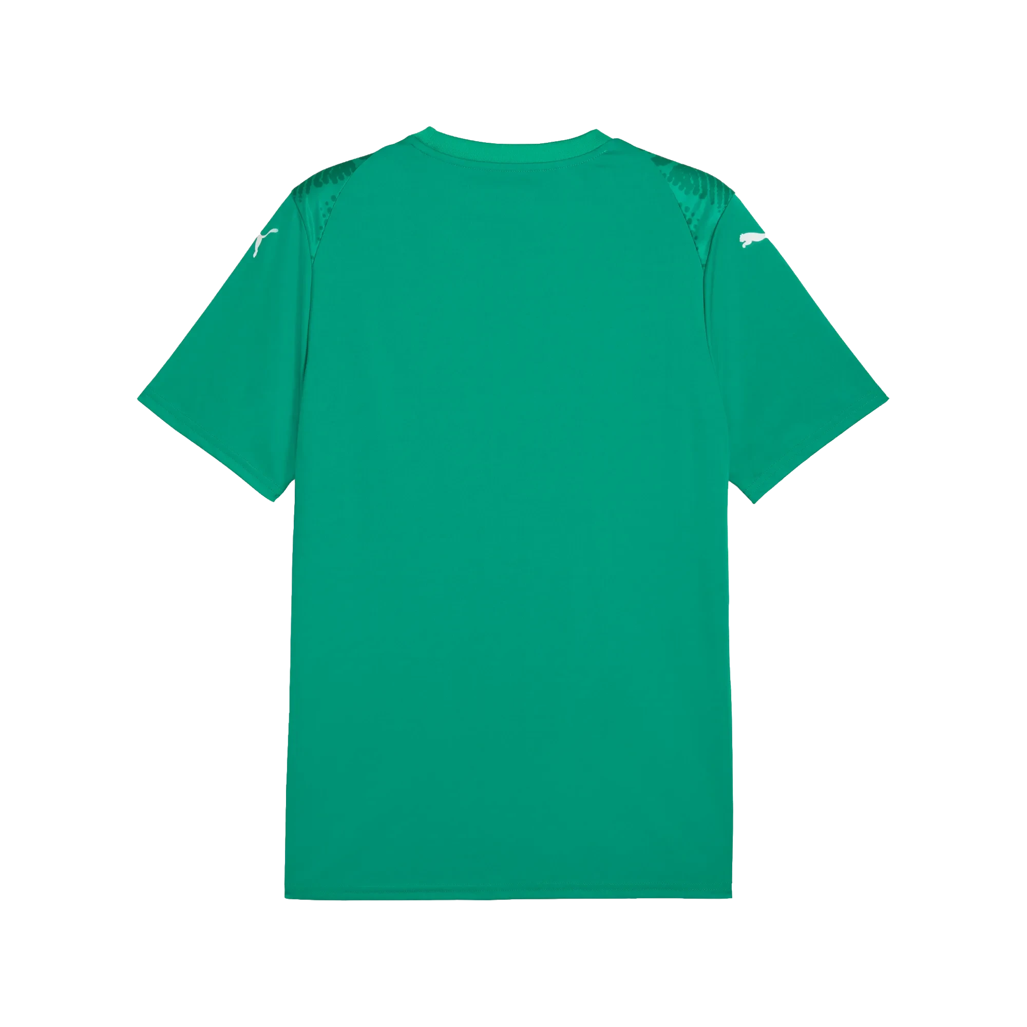 Puma teamULTIMATE Jersey Herr