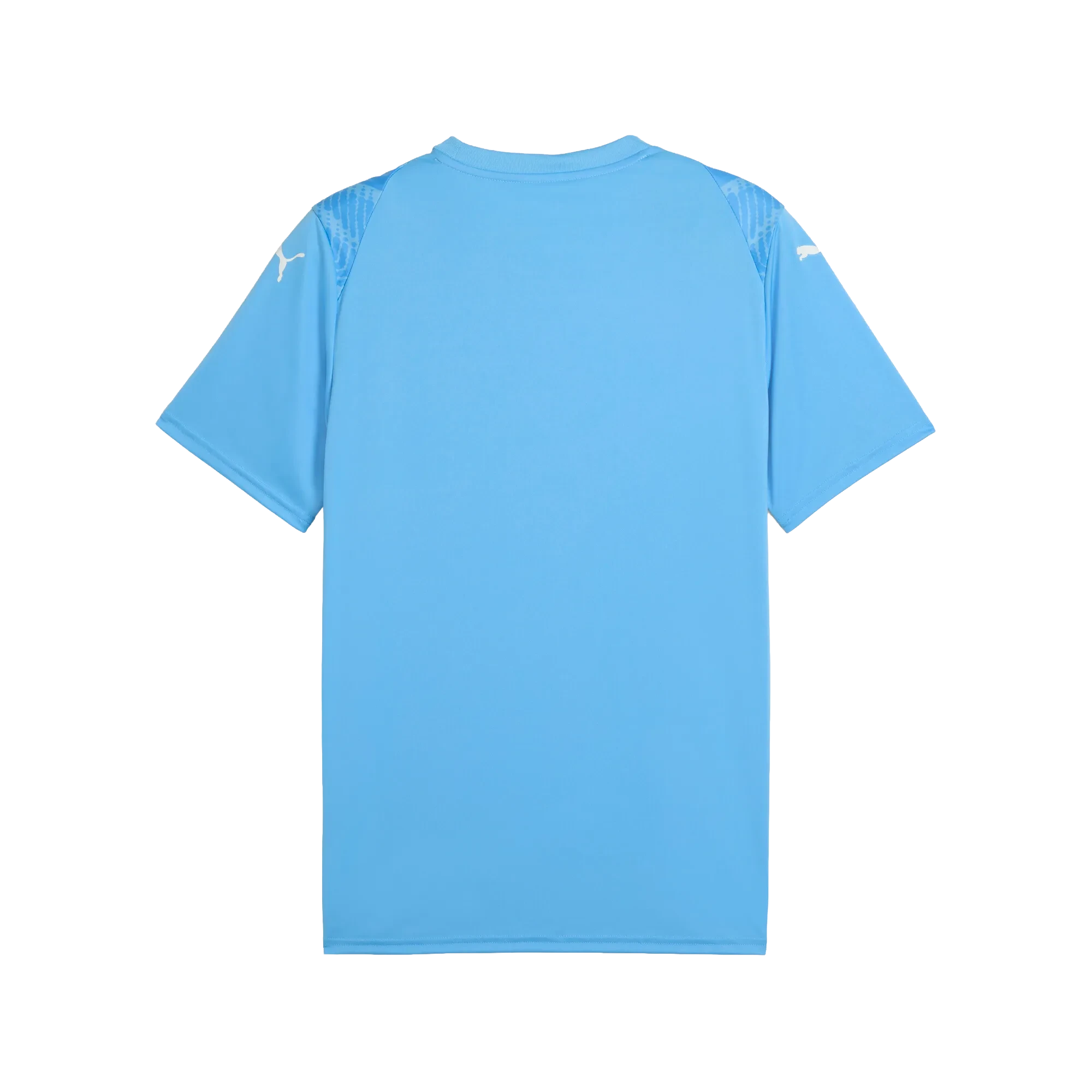 Puma teamULTIMATE Jersey Herr