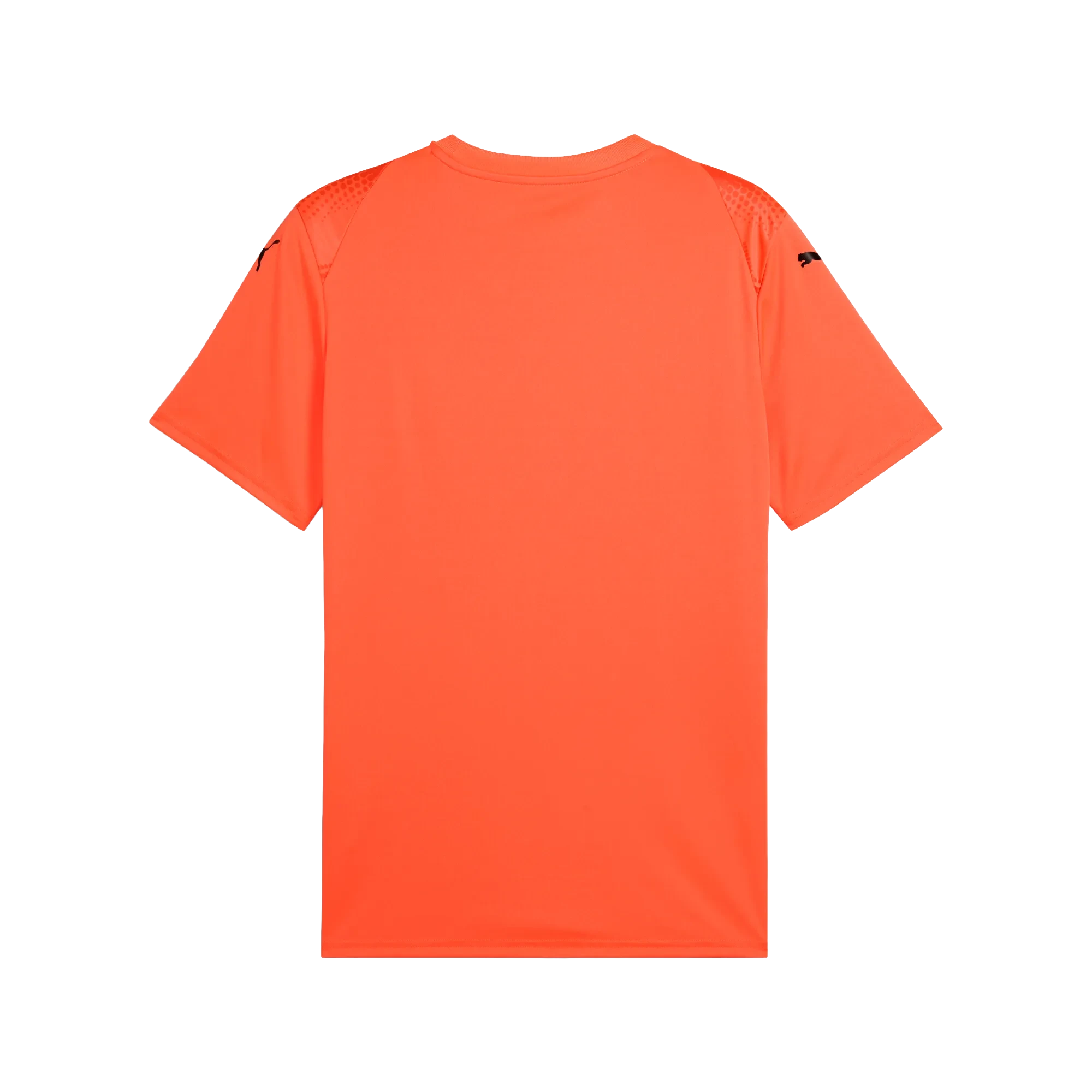 Puma teamULTIMATE Jersey Herr