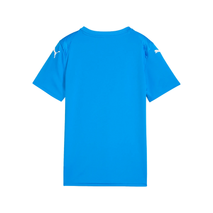 Puma teamULTIMATE Jersey Barn