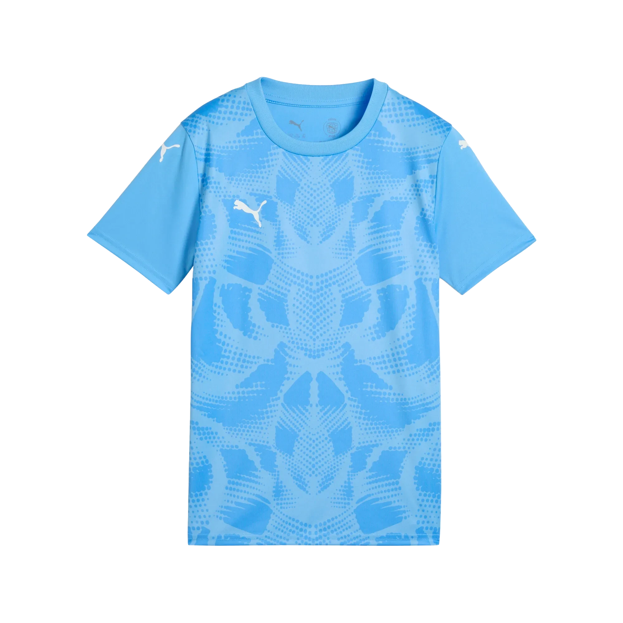 Puma teamULTIMATE Jersey Barn