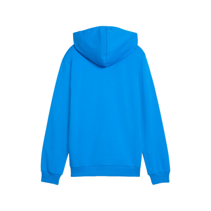 Puma teamGOAL Casuals Hoody Barn